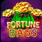 Fortune Bags